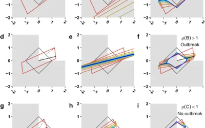 Why the Spectral Radius? An intuition-building introduction to the basic reproduction number