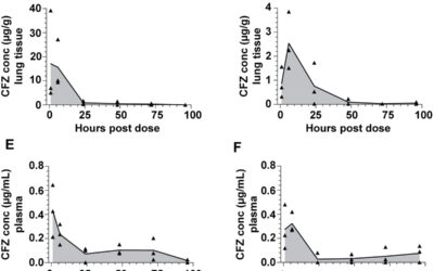 Respirable Clofazimine Particles Produced by Air Jet Milling Technique Are Efficacious in Treatment of BALB/c Mice with Chronic Mycobacterium tuberculosis Infection