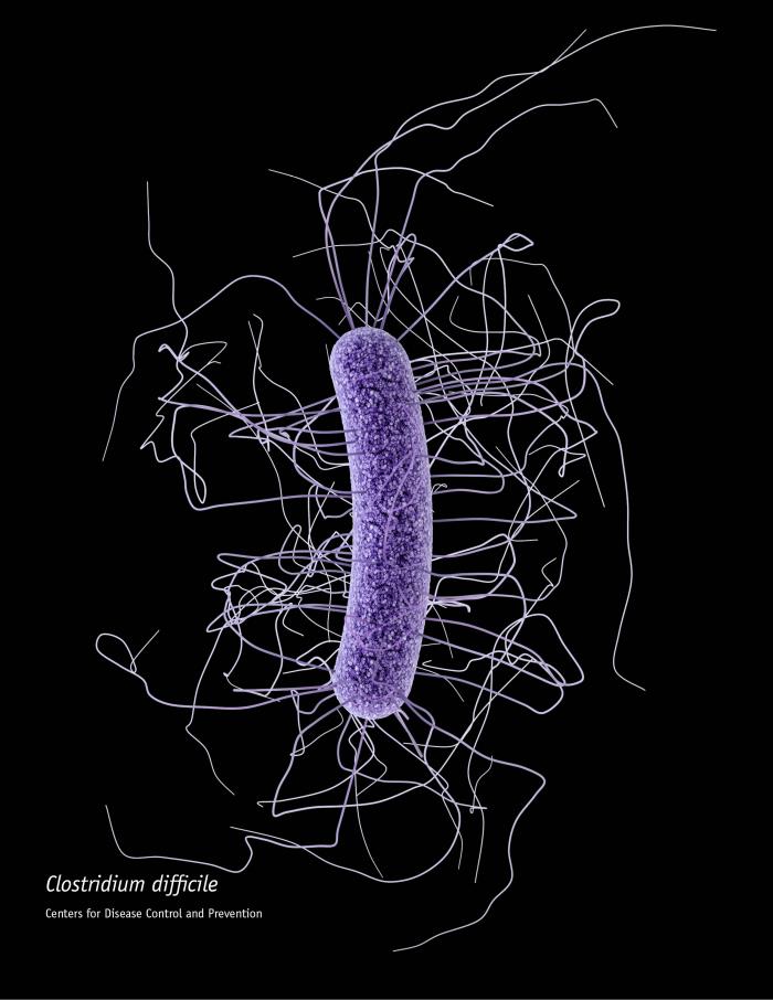 artist rendering of a c. difficile bacteria