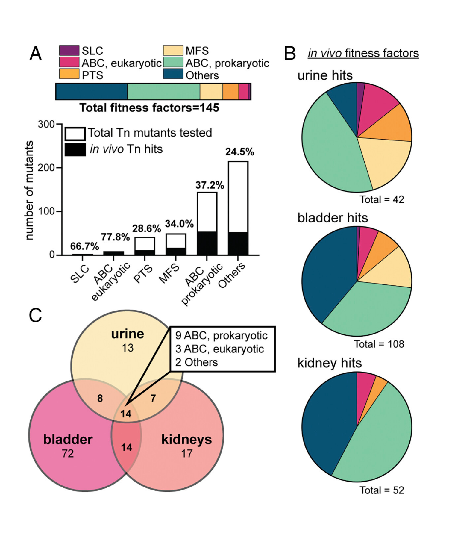 Images of graphs and pie charts from Mobley's research regarding different E. coli fitness factors