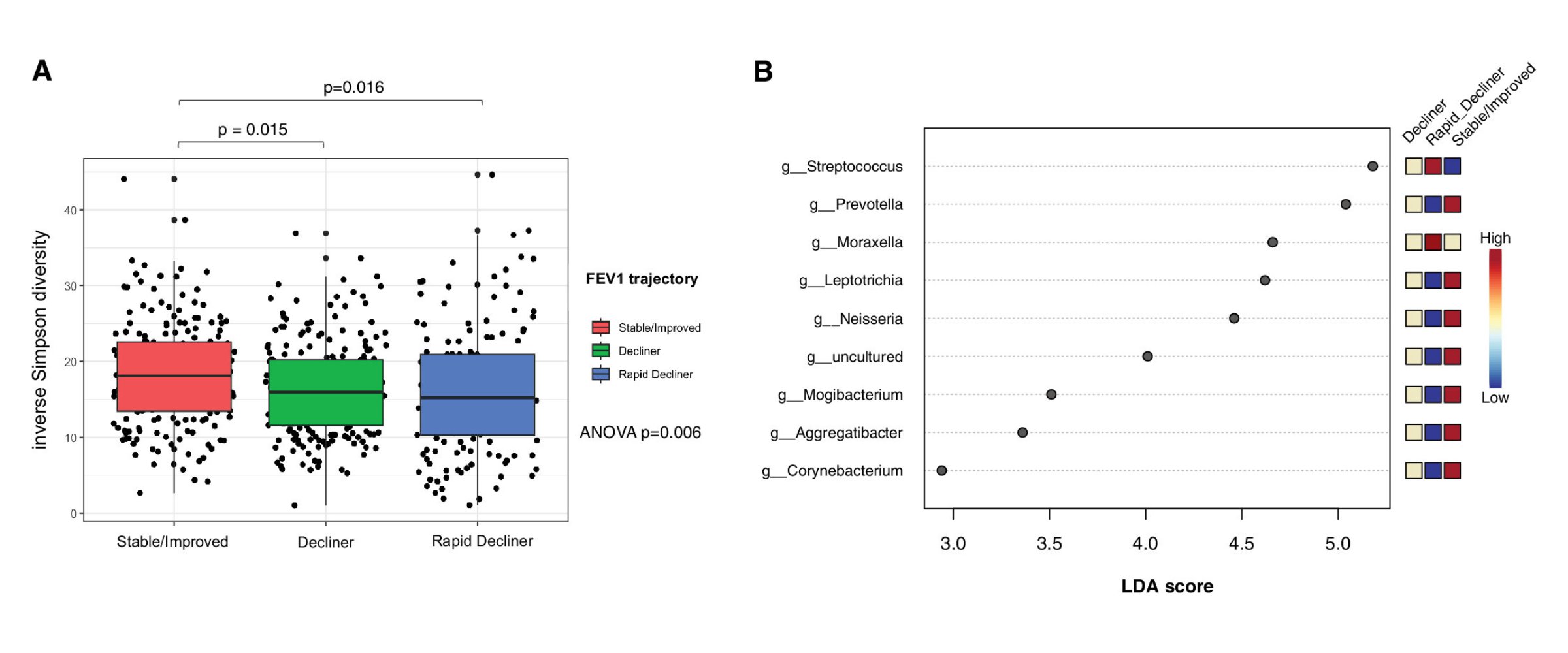 Box plot and scatter plots indicating that Baseline airway microbiome features associated with longitudinal lung function outcome. (A) Baseline sputum α-diversity between the trajectory groups: stable/improved, decline, and rapid decline. (B) Bacterial genera associated with categorical FEV1 trajectory using linear discriminant analysis effect size (27). LDA = linear discriminant analysis score from linear discriminant effect size analysis (LEfSe)