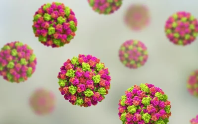 Science News: Why a norovirus vaccine isn’t available — yet