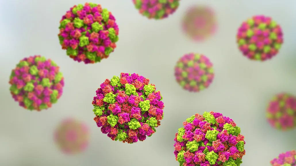 image of norovirus