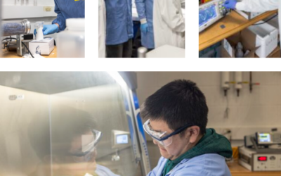 Studying bird flu in the air to protect people, agricultural operations in Michigan and beyond